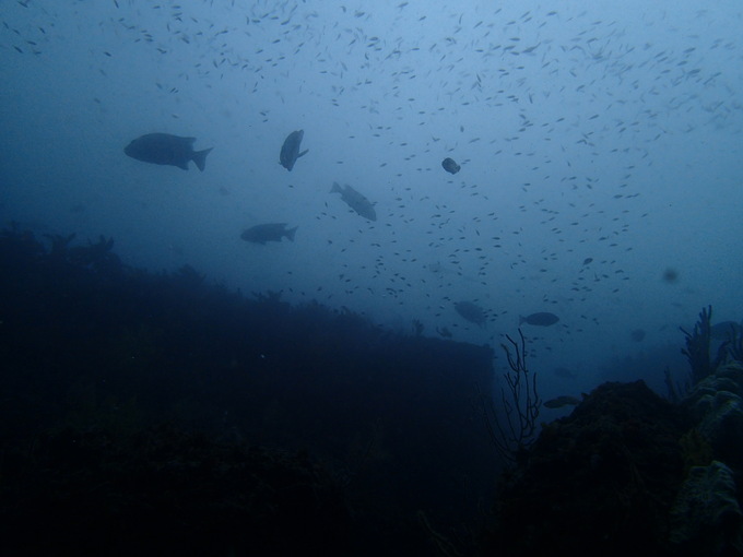 三浦半島2013⑯_b0287468_364614.jpg