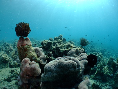 b0033573_16364083.jpg
