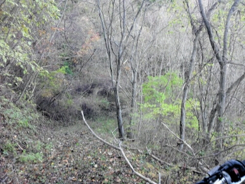 e0255775_20133380.jpg