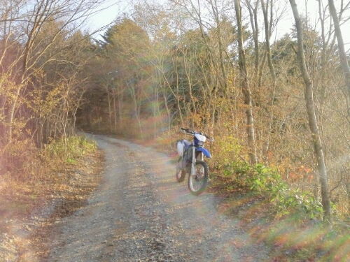 e0255775_20212425.jpg