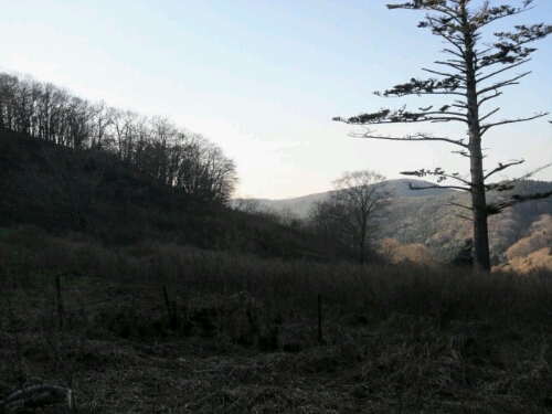 e0255775_20233287.jpg