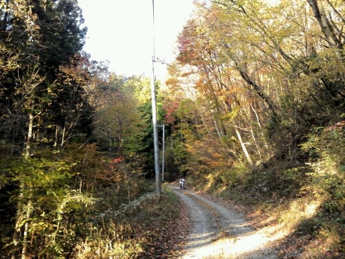 e0255775_2027229.jpg