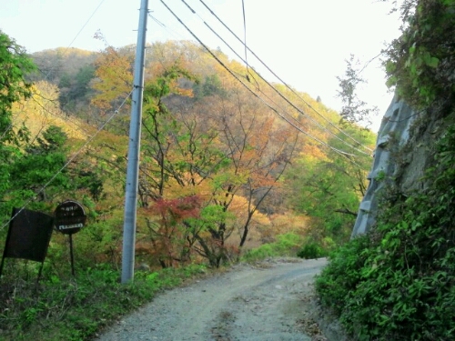 e0255775_20281973.jpg