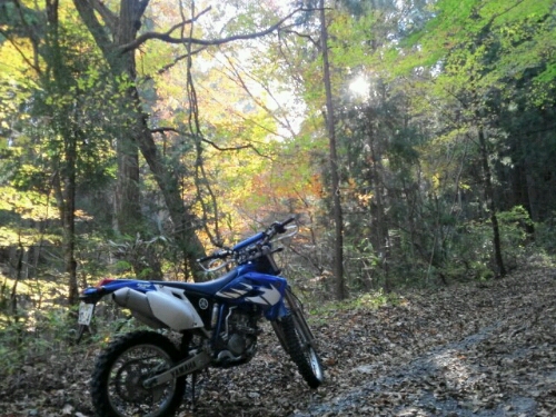 e0255775_2032112.jpg