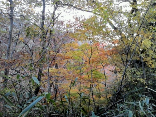 e0255775_203218100.jpg