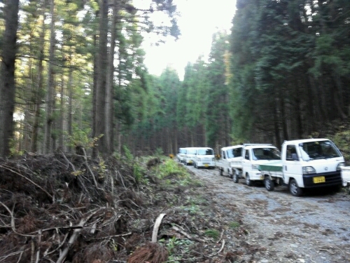 e0255775_2075085.jpg