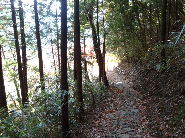 青根ヶ峰：吉野の奥千本最奥の地～真紅に燃える紅葉の葉_c0066176_95416.jpg