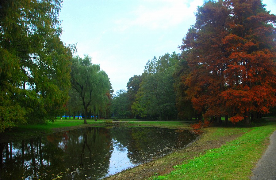 c0187781_1891163.jpg