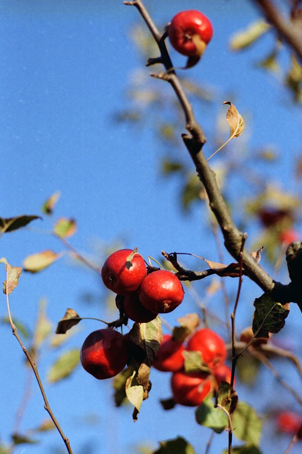 f0159784_200502.jpg