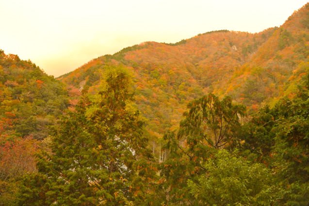 f0301186_12324379.jpg