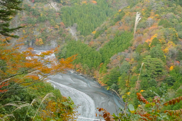f0301186_1235058.jpg