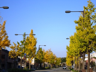 a0137789_16462960.jpg