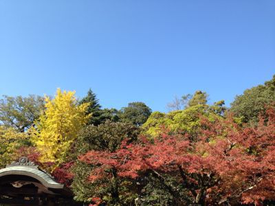 深大寺＆ジブリの森美術館❤️_a0309389_2336106.jpg