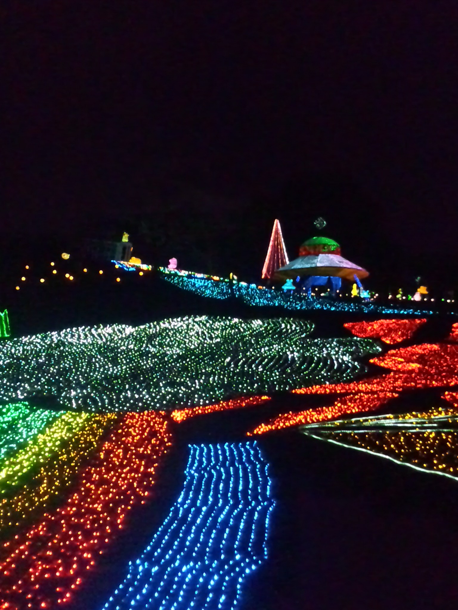 d0318191_11341939.jpg
