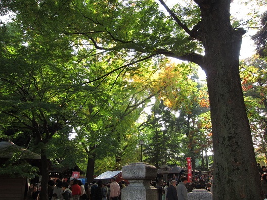 f0224492_22222529.jpg