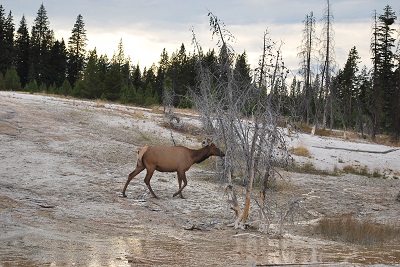 f0199394_131850100.jpg