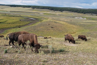 f0199394_1324126.jpg