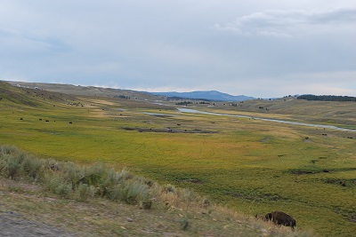 f0199394_13243964.jpg