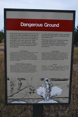 f0199394_1384098.jpg