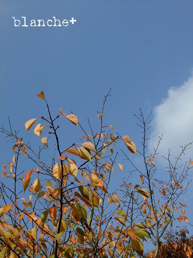 b0189895_23134260.jpg