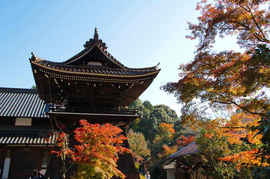 雲興寺の紅葉_c0265095_21374850.jpg