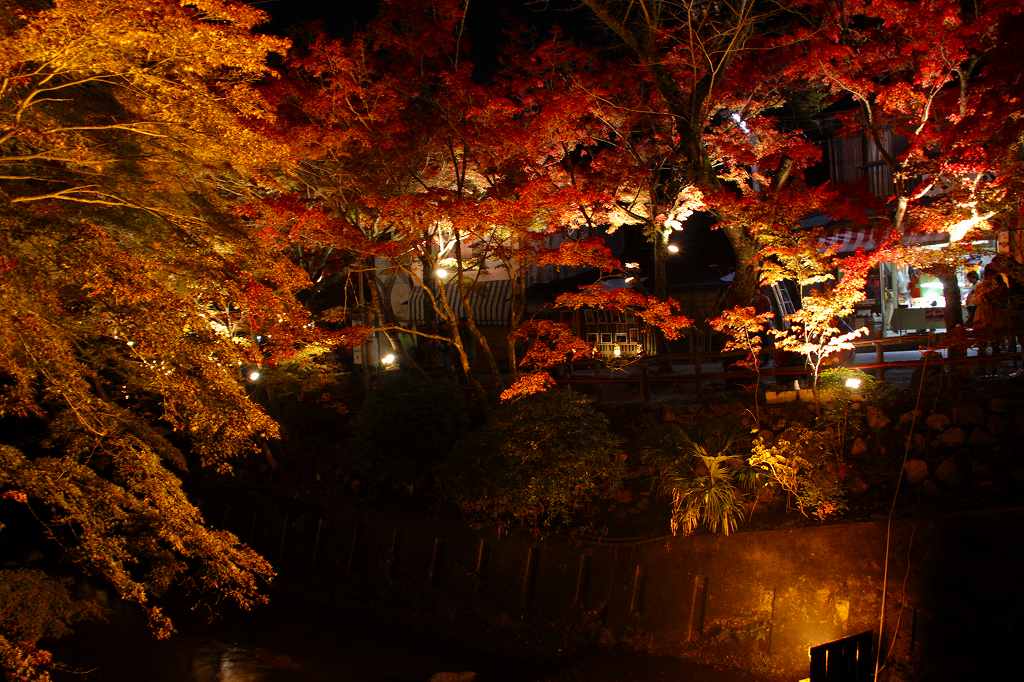 紅葉ライトアップ!_c0265095_22563395.jpg