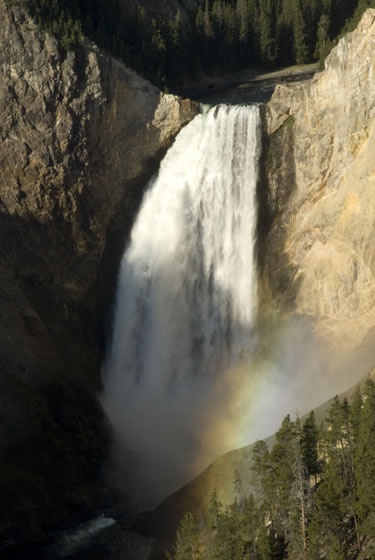 b0075497_145243.jpg