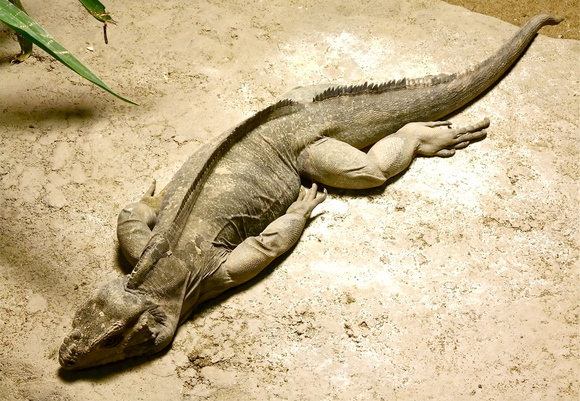 b0199097_10102040.jpg