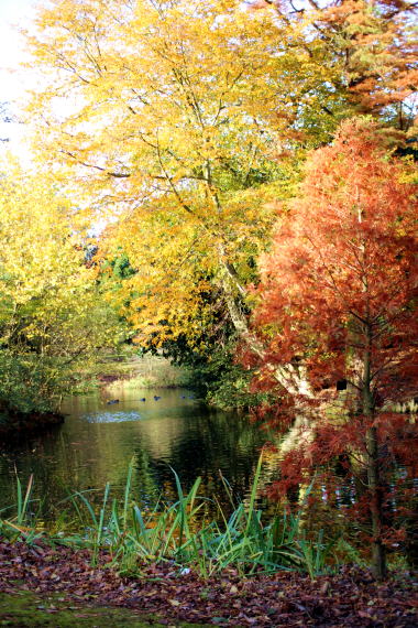 c0090198_334340.jpg