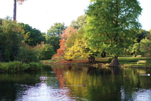 c0090198_362443.jpg