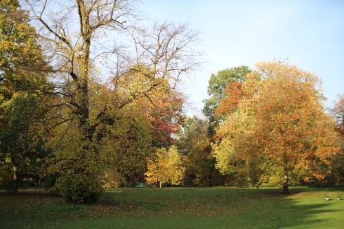 c0090198_37955.jpg