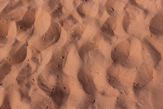 c0306400_14532299.jpg