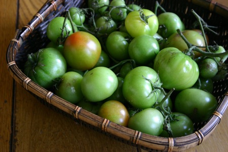 Green Tomato Ketchupと鴨丼_e0149801_9445192.jpg