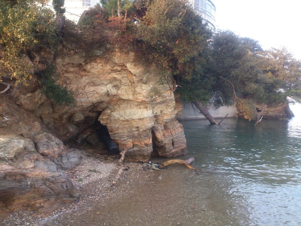 a0050302_1541610.jpg