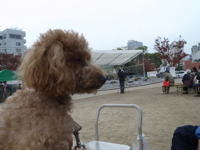 西川ハーモニーフェスタ@下石井公園_f0197703_1232645.jpg