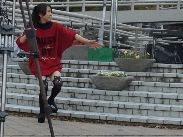 西川ハーモニーフェスタ@下石井公園_f0197703_125244.jpg