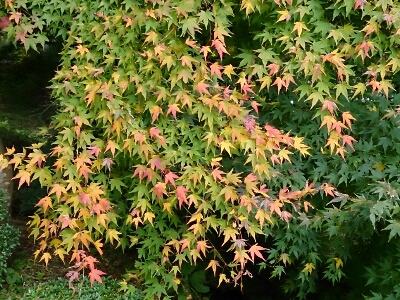 e0252905_15422977.jpg