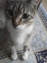 初めまして!ちゃたろうでございます_f0316507_2214041.jpg