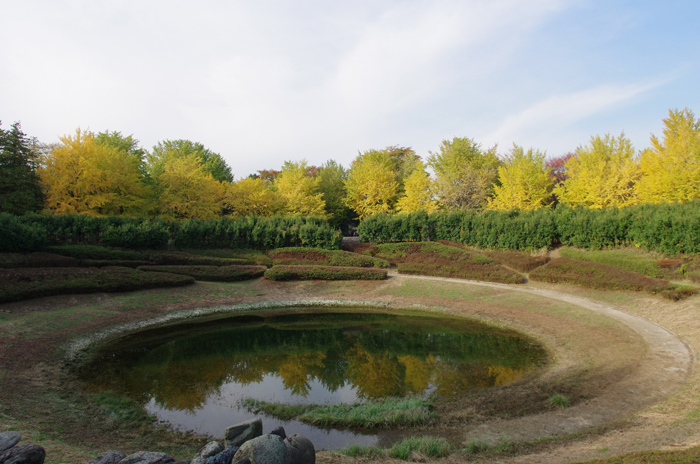 昭和記念公園　紅葉　3　～日本庭園へ_b0151409_2255071.jpg