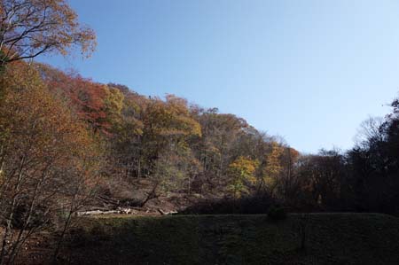 e0032609_189541.jpg