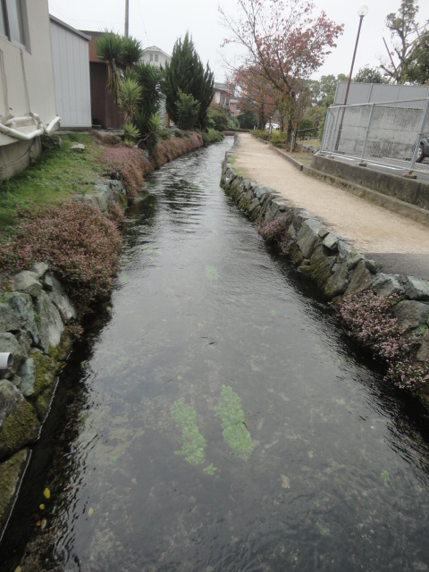 新の水汲み場整備中とアクアトピア水系…2017/3/5_f0231709_15465528.jpg