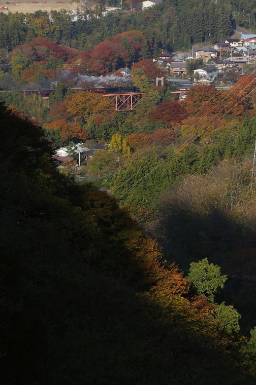b0190710_2374598.jpg