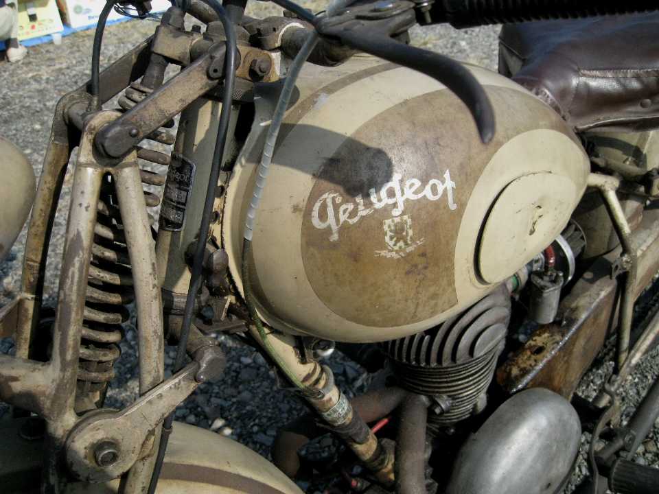 e0003910_735452.jpg