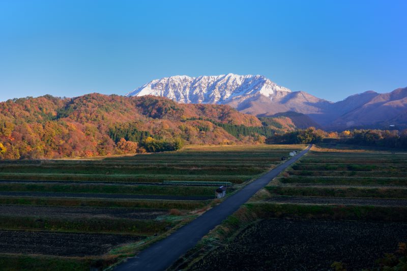 大山　秋から冬へ_e0217511_22404472.jpg