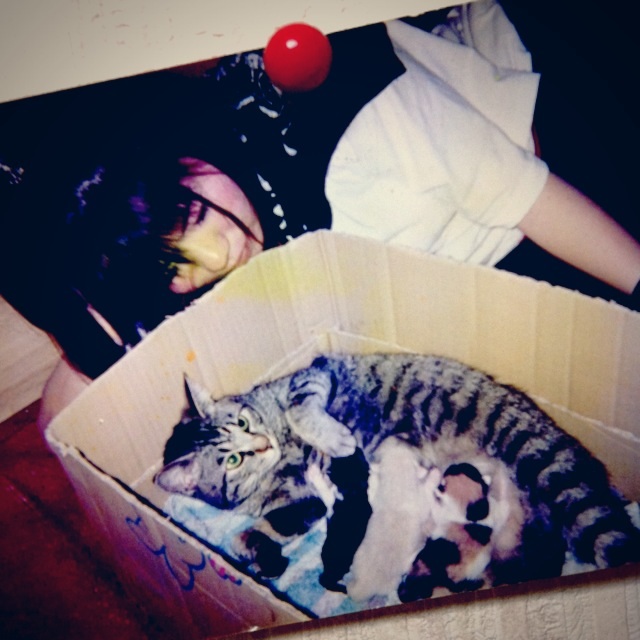 2013も残りわずか♪_f0115311_2353935.jpg