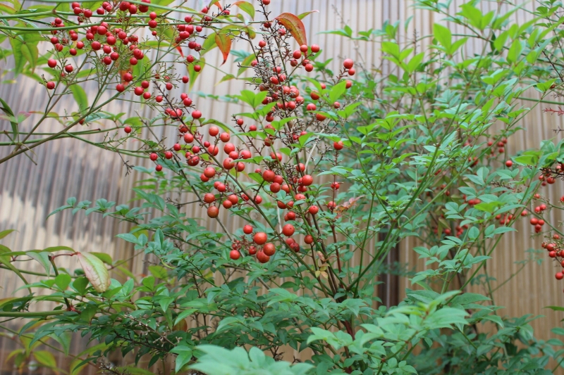 f0246611_0444131.jpg