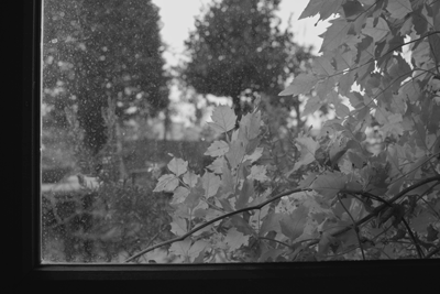 f0251613_23732100.gif