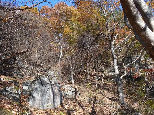a0127015_21262628.jpg