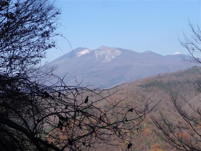 有矢山は七ヶ宿の里山_a0127015_21463195.jpg