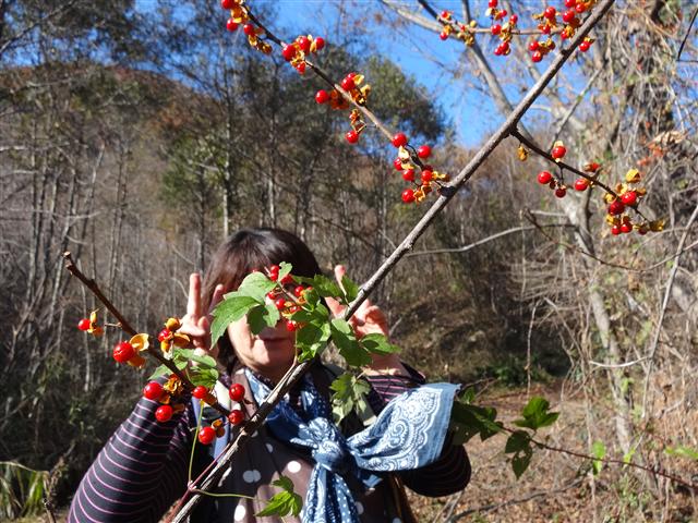 有矢山は七ヶ宿の里山_a0127015_21563173.jpg